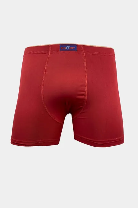 CUECA BOXER-590-BIG JOY (P,M,G)