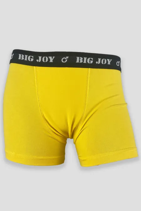 CUECA BIG JOY BOXER INFANTIL COTTON- 516 (P, M, G, GG)