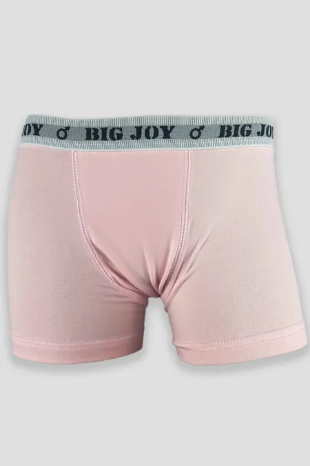 CUECA BIG JOY BOXER INFANTIL COTTON- 516 (P, M, G, GG)