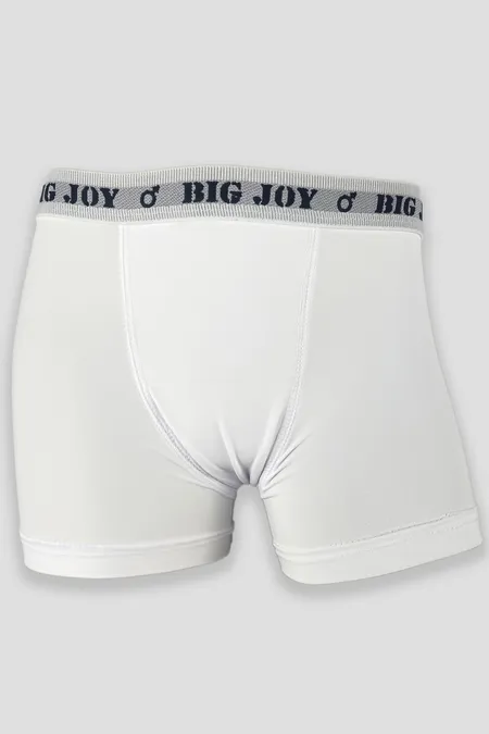 CUECA BOXER-569-BIG JOY (P,M,G,GG)